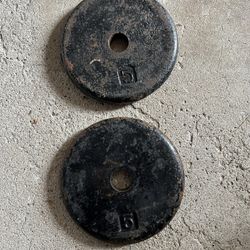 Pair Of 5lb Pancake Weights $5 For Both 