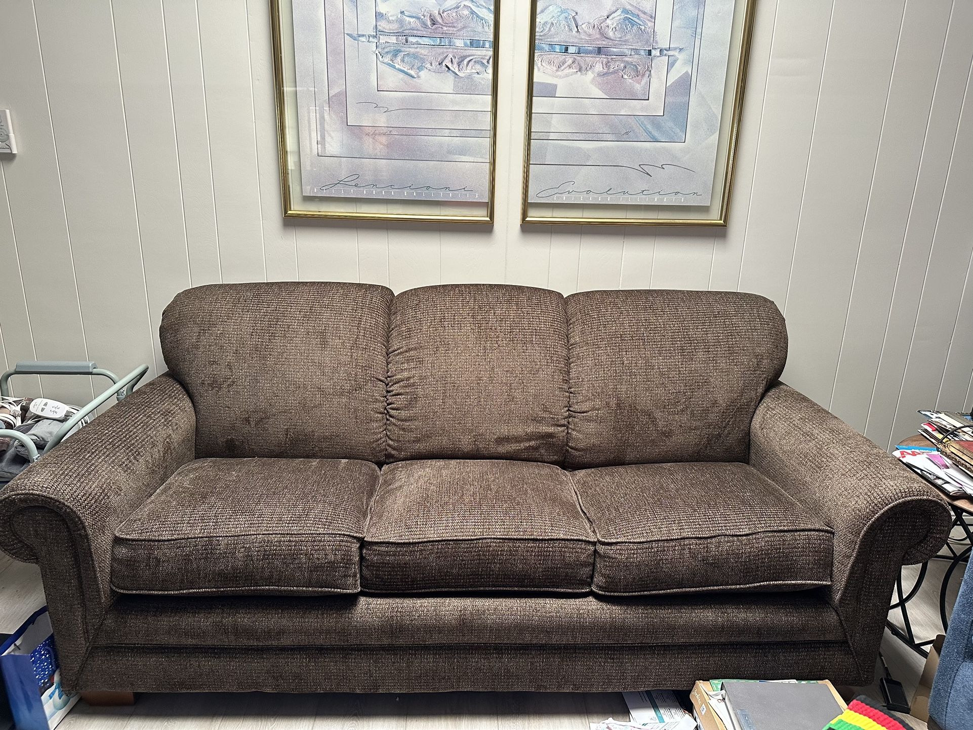 Sleeper Sofa