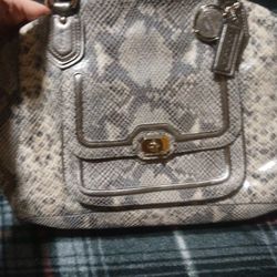 Brand New!Authentic COACH Embossed Python Skin Purse