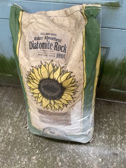 Diatomite Rock