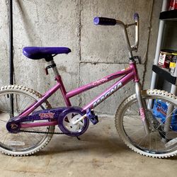 Preteen Bike