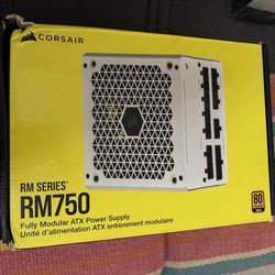 Corsair RM750 CP-(contact info removed)-NA 80 Plus Gold 750W Fully Modular Power Box Damaged