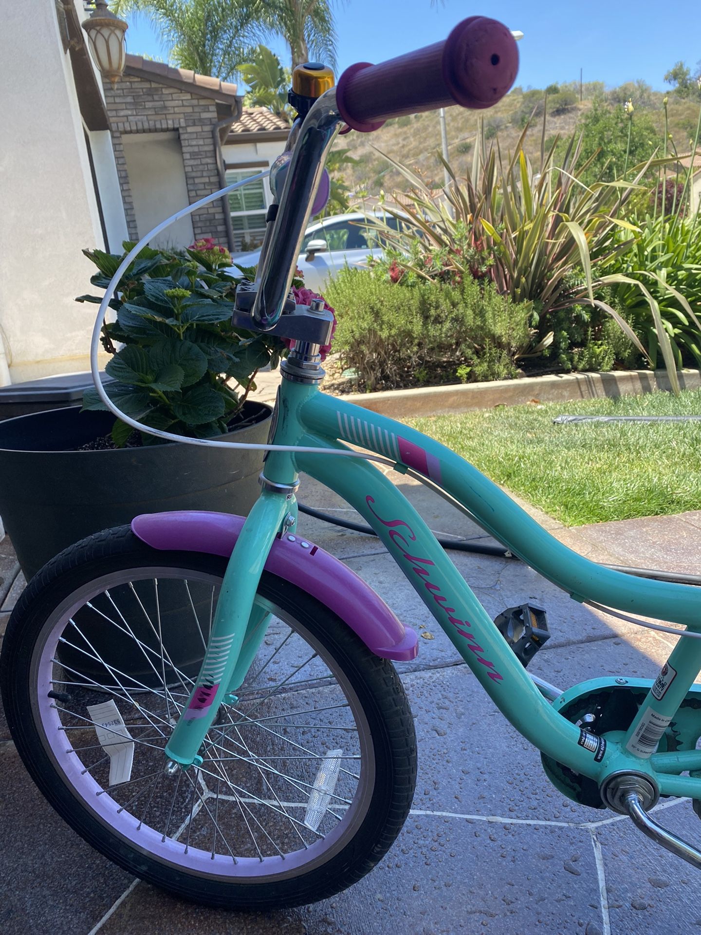 Schwinn Girls Bike