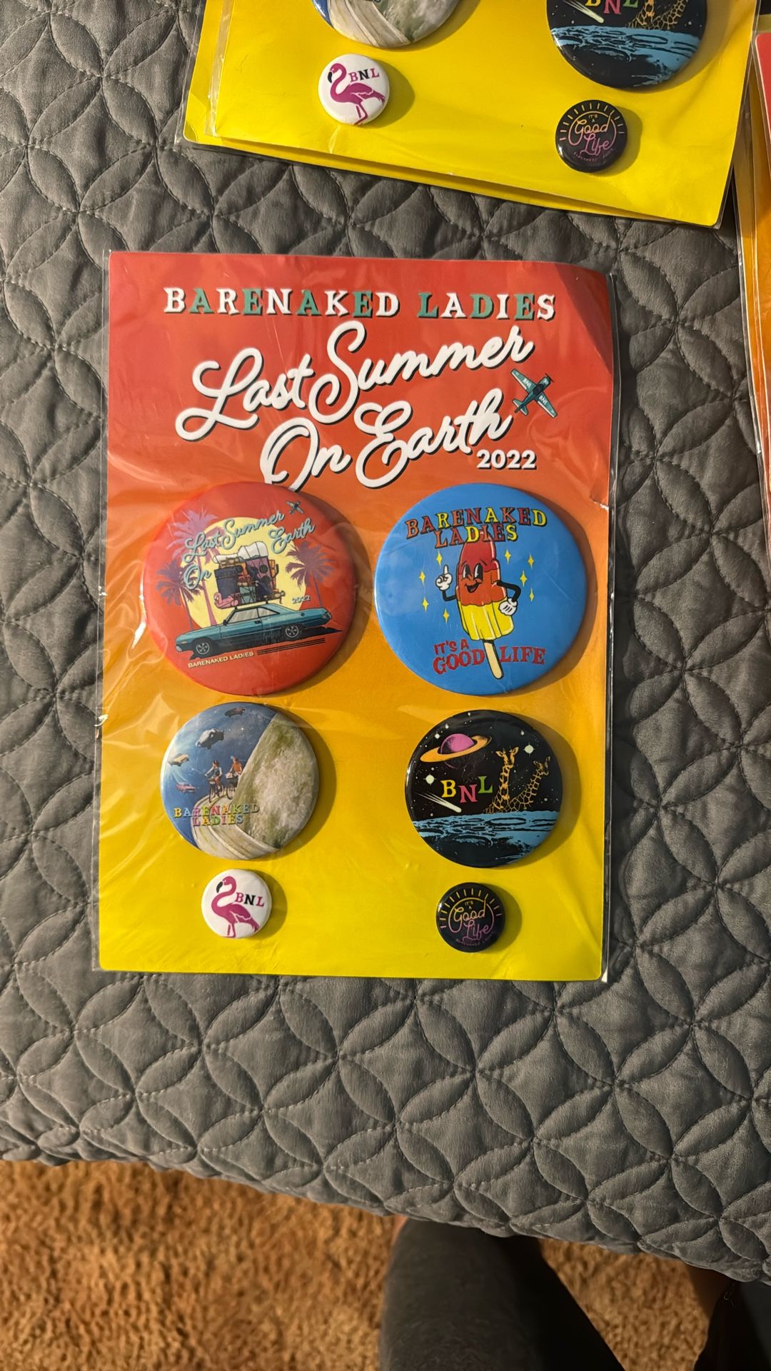 Last Summer On Earth Pins