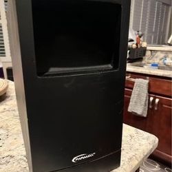 Paramax P-7 Digital Sound Subwoofer (Used) 