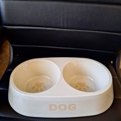 Dog Bowl 
