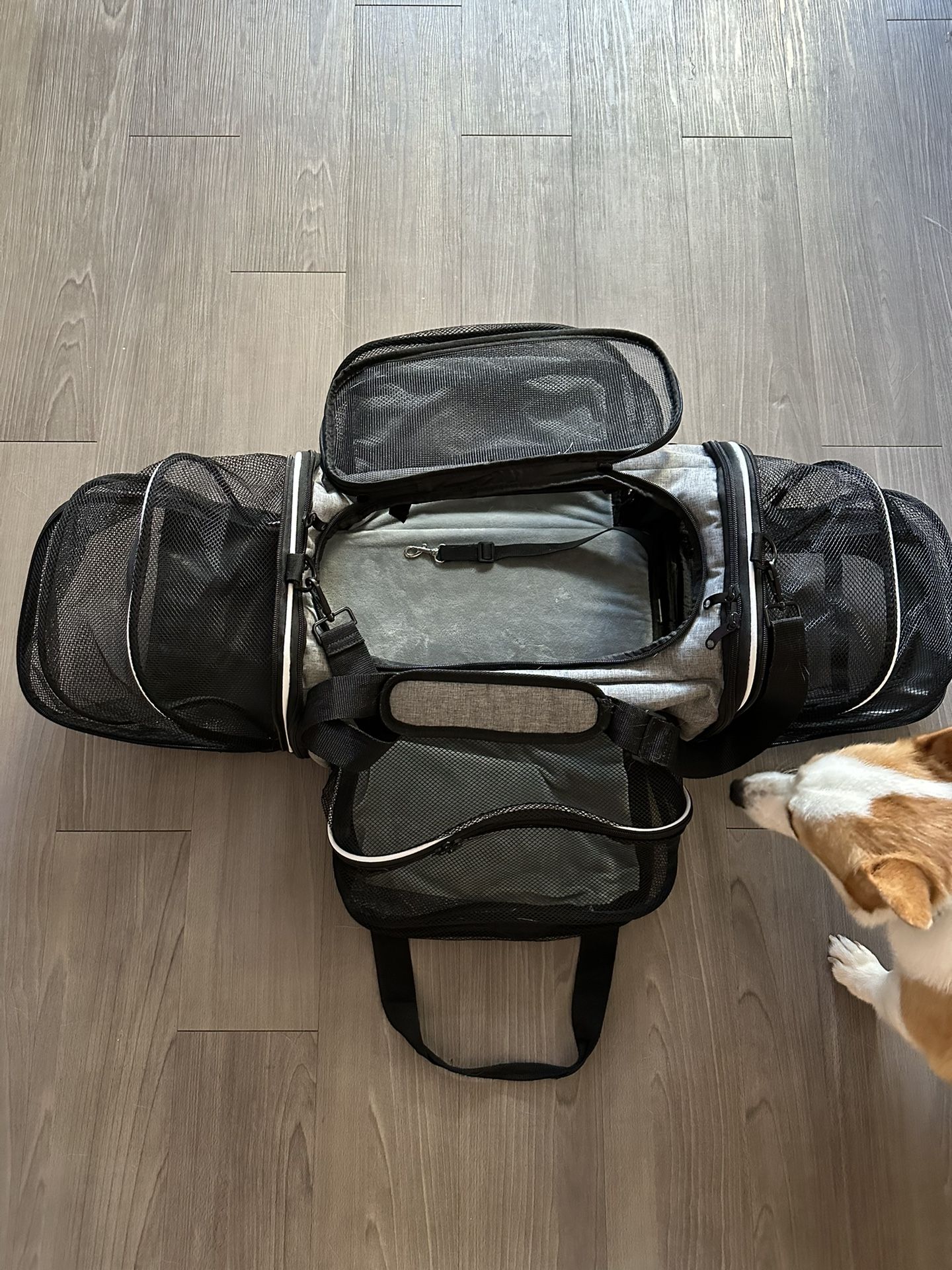 Dog carrier Bag