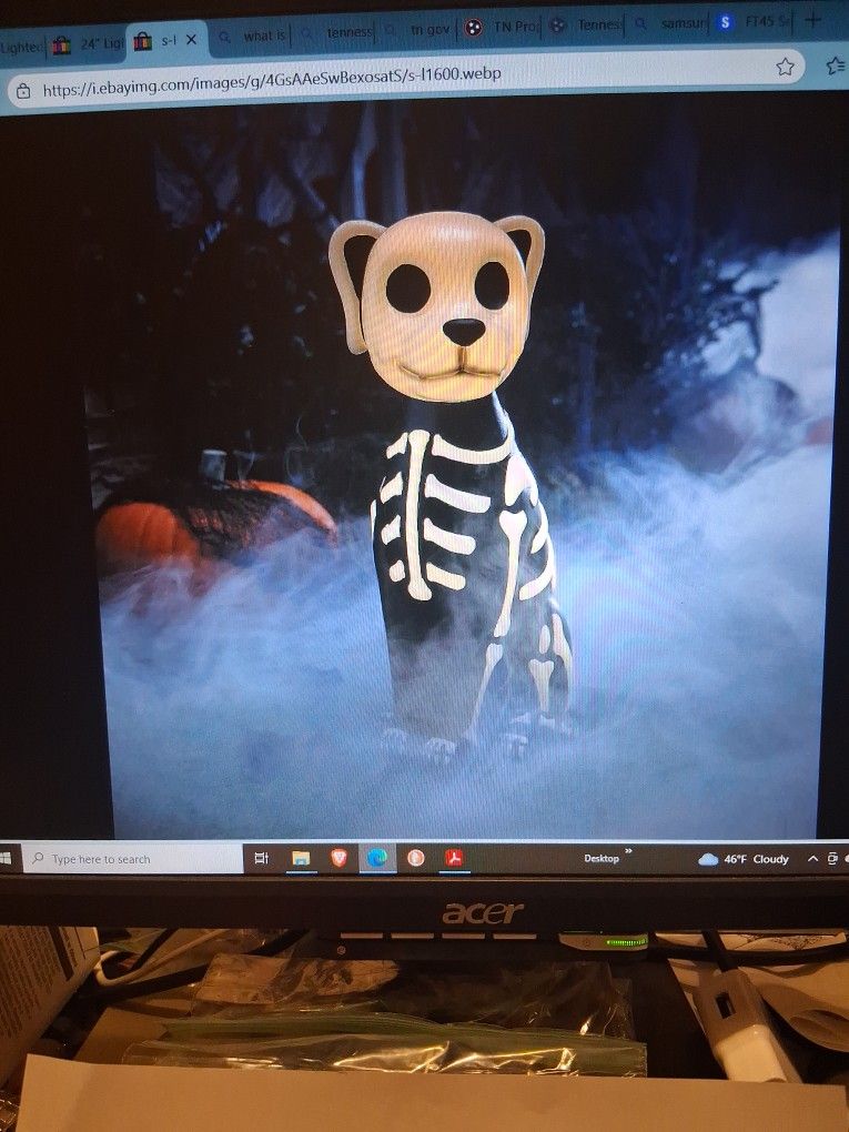 Lighted Skeleton Dog Blow Mold