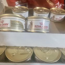 Royal Canin Yorkie