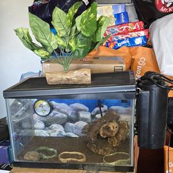 5 gallon tank for Hermit Crab  with accesories