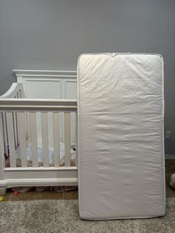 Crib/Toddler bed