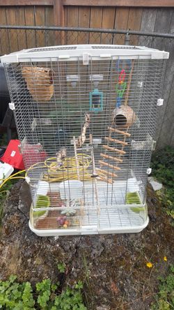 Birt cage