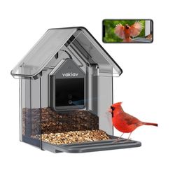 Smart Wild Bird Feeder w/Camera Wireless Outdoor, AI Identify, Auto Capture Bird