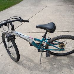 Used DIAMONDBACK Ladies Bicycle 24"