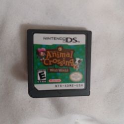 Animal Crossing: Wild World