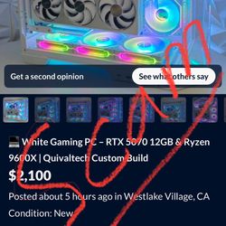 Scammer