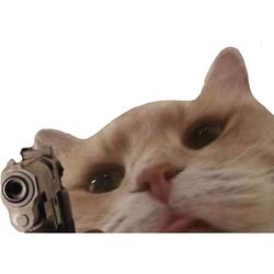 In Need Of A VR HEADSET