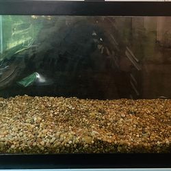 Gallon Breeder Aquarium Tank- includes substrate and glass cover