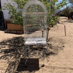 Bird Cage 