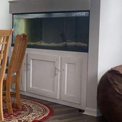 Fish Tank & Stand