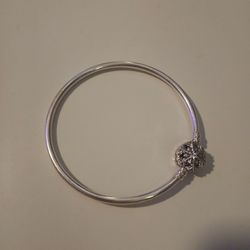Pandora Bracelet
