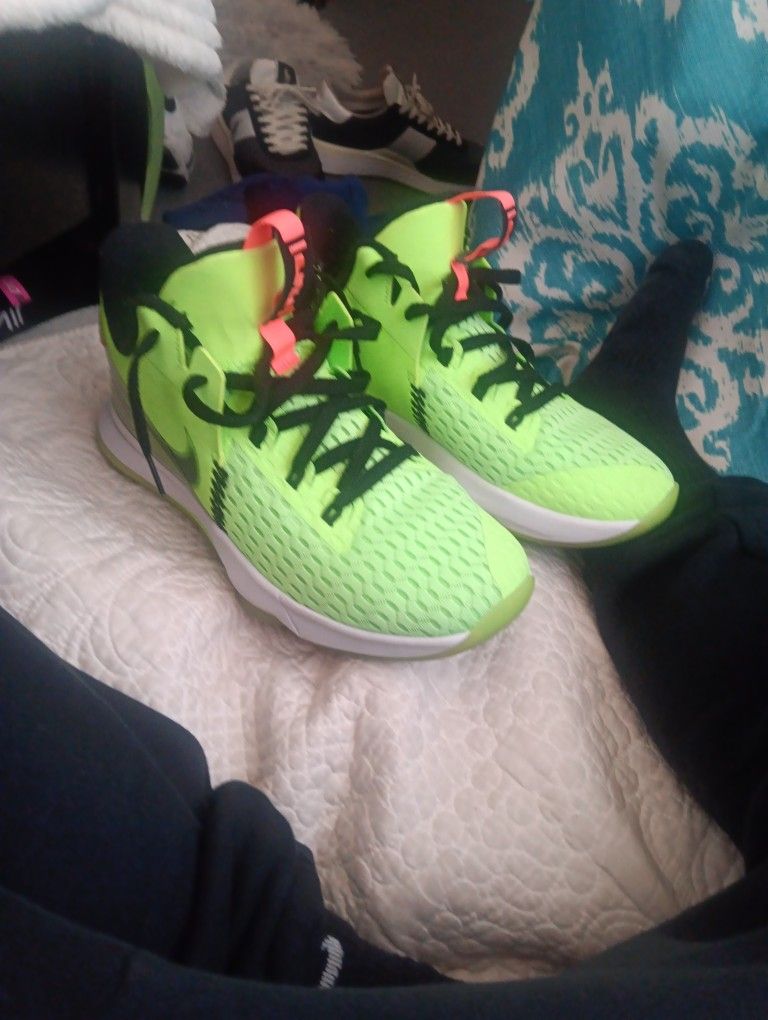 Lebron Grinch 5 Lows