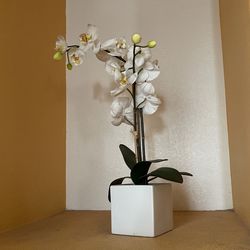 White Orchids Artificial Plant