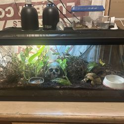 40 Gallon Tank And Accessories 