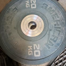 Bumper plates (American Barbell)