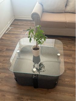 Glass topped coffee table
