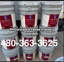 Pintura paint