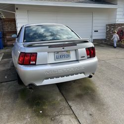 2000 V6 Mustang 