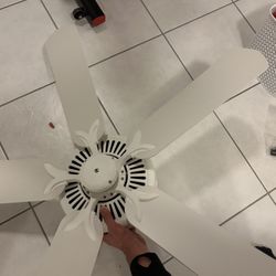 Ceiling Fan With Remote