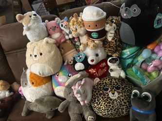 Mix of stuffies, TY and squishmellows