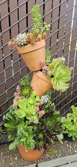 Large Tilted Succulent Pots #2
