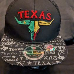 Big Bear NWT Texas Snapback Hat