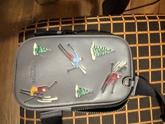 Coach Phone bag