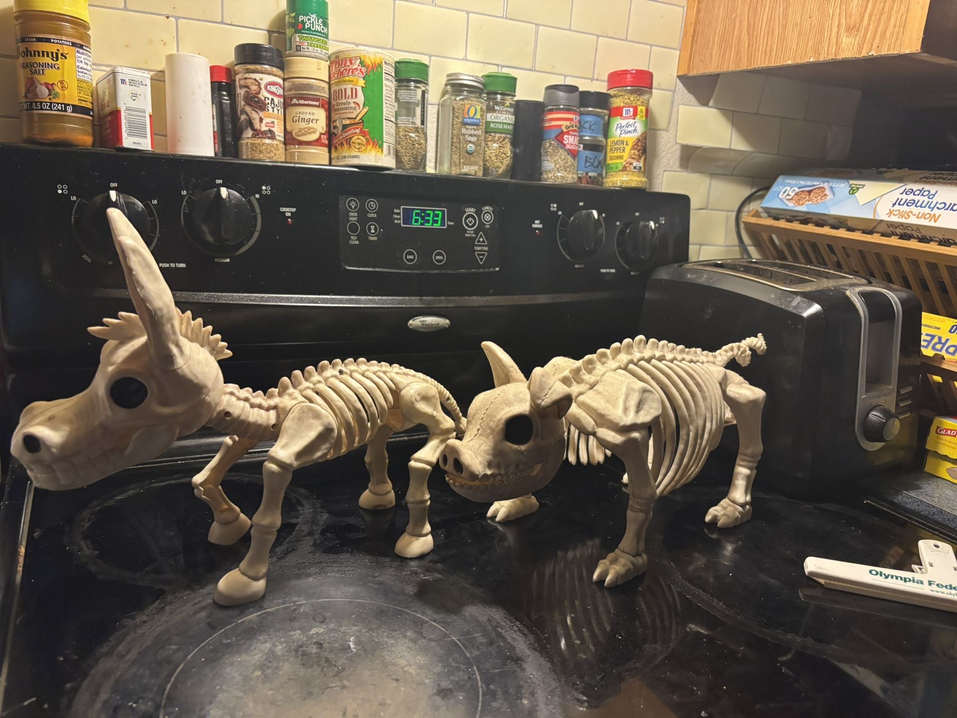 Donkey Pig Skeleton