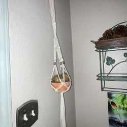 Macrame plant holder 