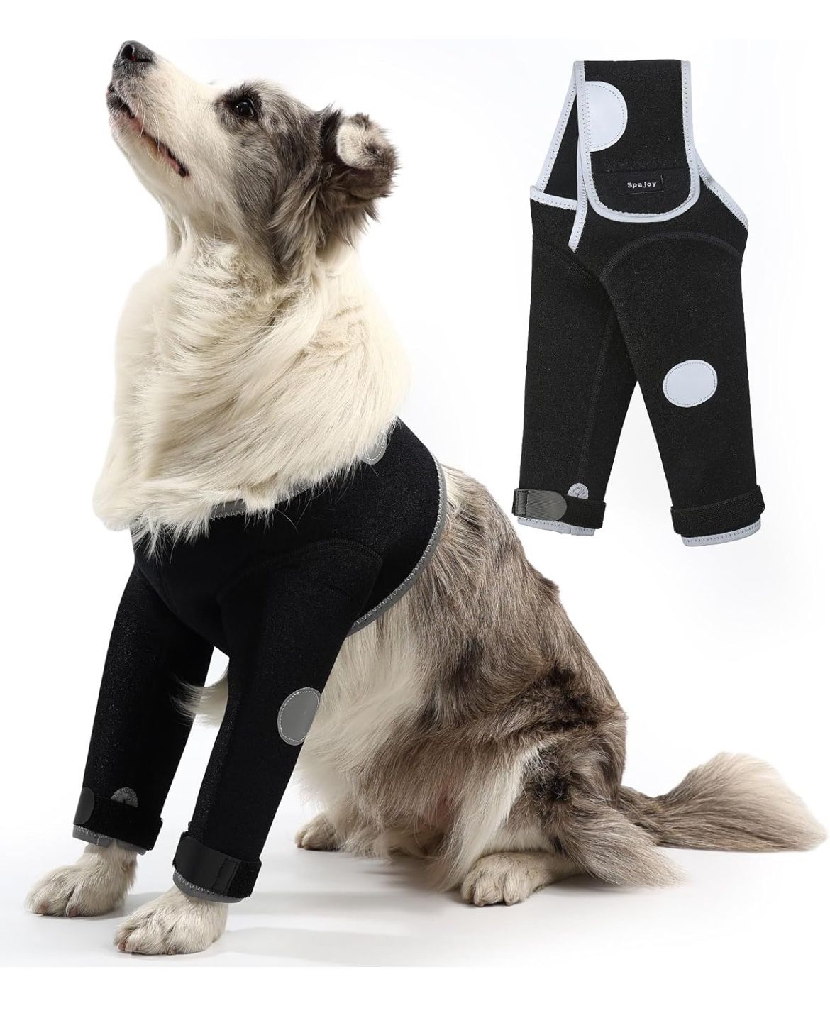 Dog Recovery Suit Says For Xs But Probably For Medium Size Dog