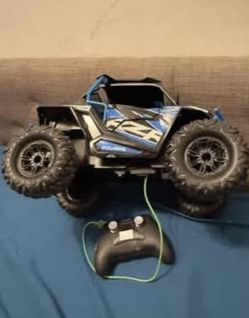 RC RZR - Blue And Black