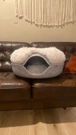 Cat Bed