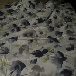 Comforter 