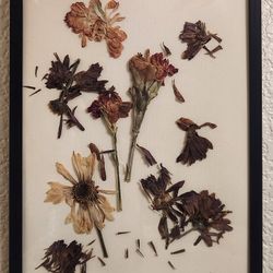 Pressed Flower Art Decor