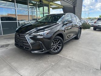 2024 Lexus NX 250