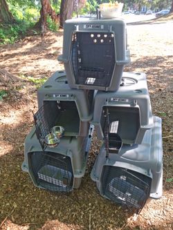 Sky kennel pet transport