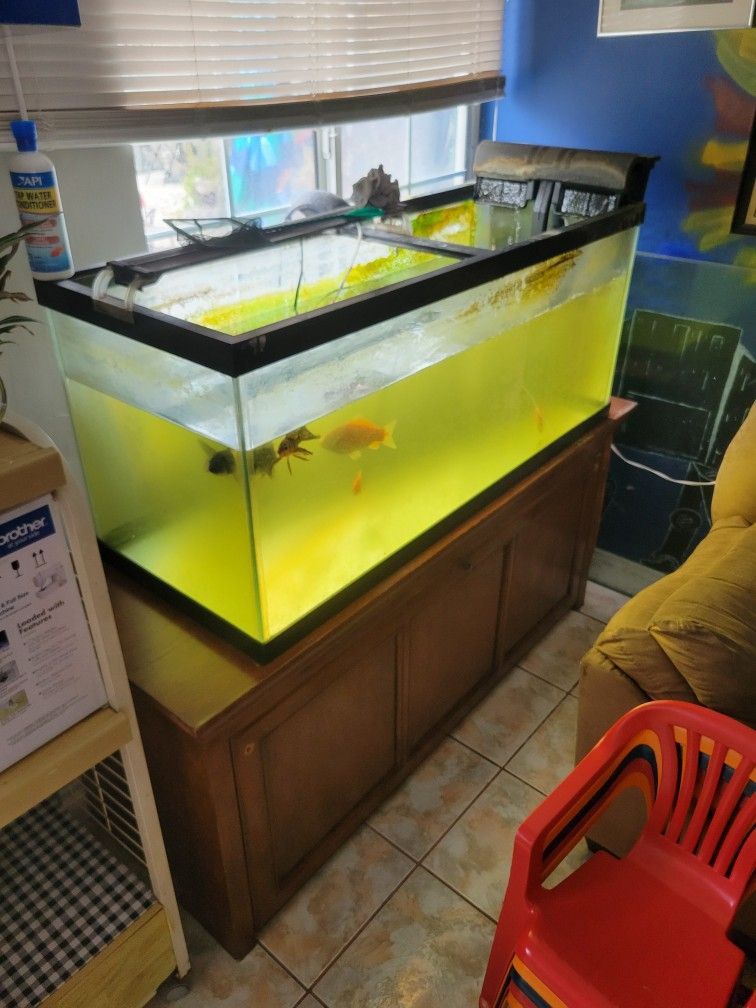 75gallon Aquarium With Stand