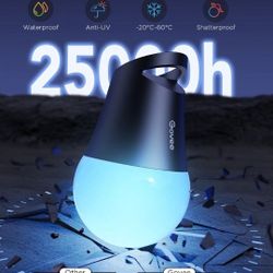 LED SOLAR LIGHTS 