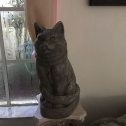 Grey kitty about 2 ft high