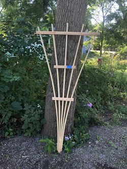 5 Rib Fan Trellis